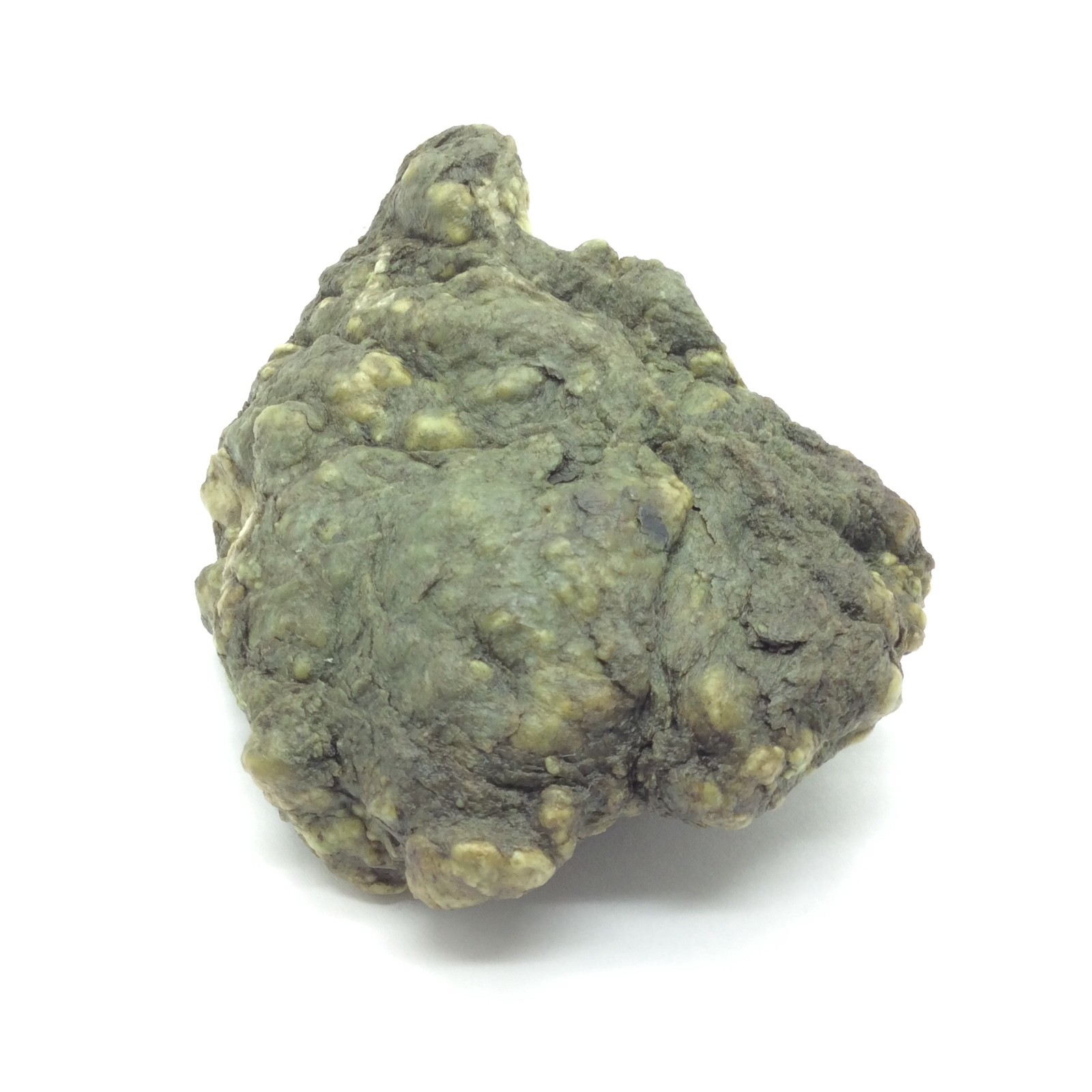Trinity Alps Botryoidal Jade Stone Green Nephrite Jade Cobble Specimen CA #13