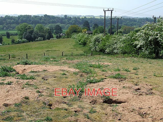 PHOTO ROUGH GROUND DANESFORD SHROPSHIRE THE SOIL IS SO POOR AND SANDY ON THIS H