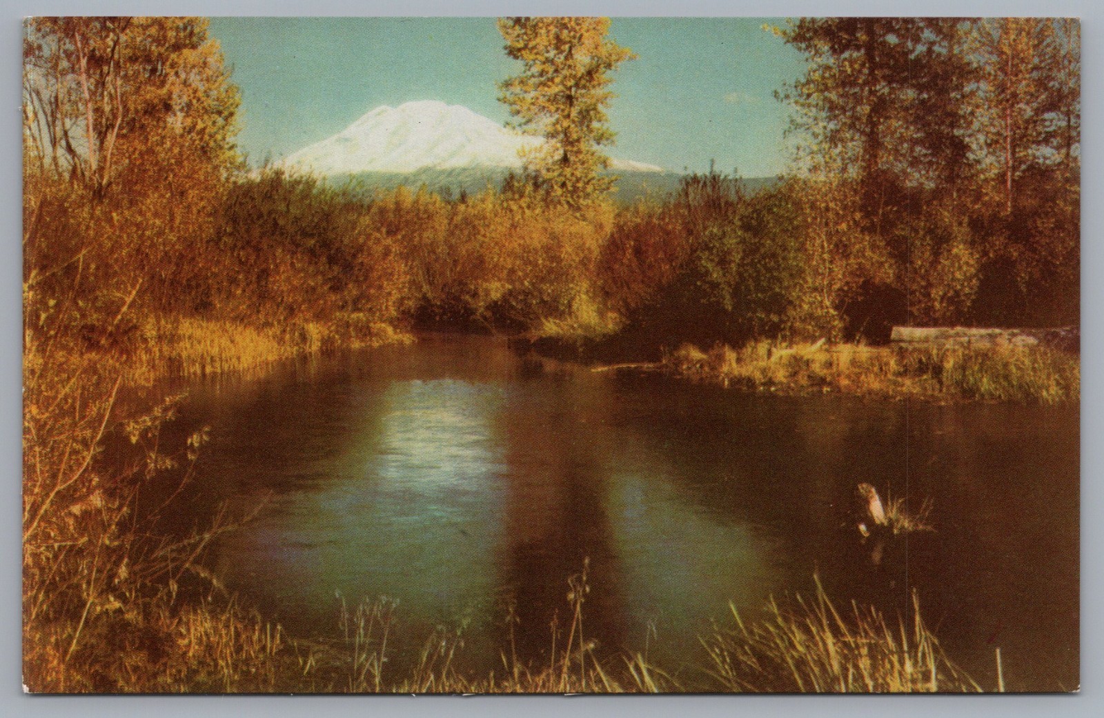 Mount Adams Washington Union Oil 76 Gasoline Postcard