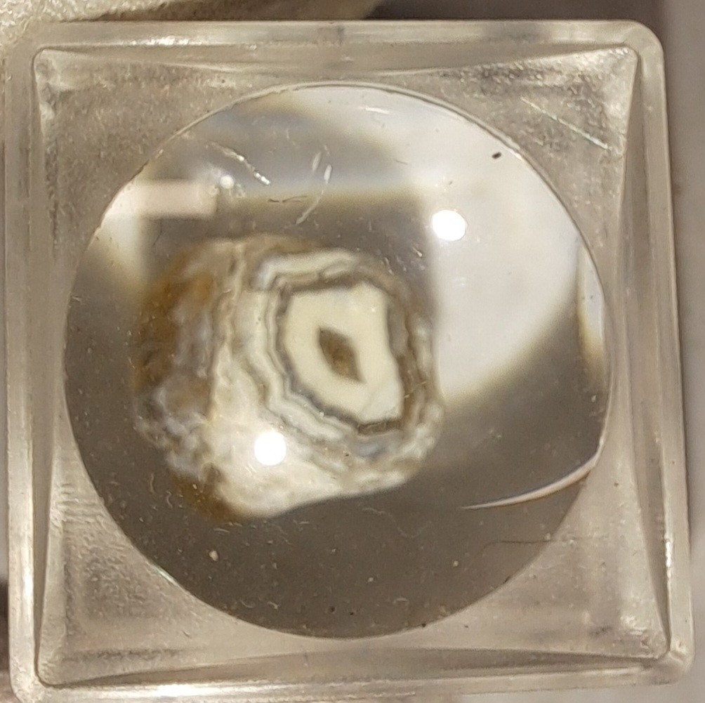 OREGON AGATE COLLECTION – 19 SPECIMENS IN PLEXI CASES – SUPERB COLORS & PATTERNS