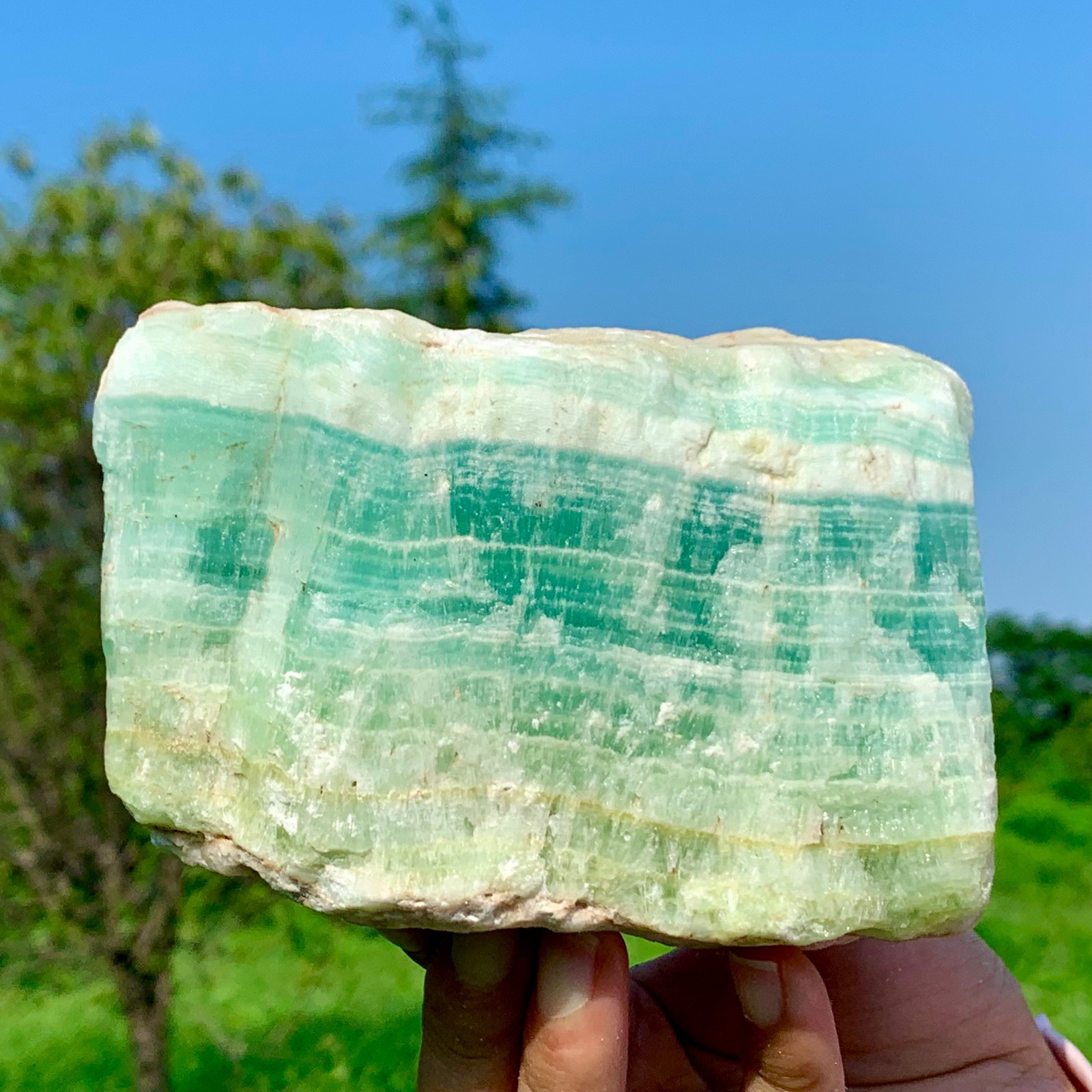 3.41LB Outstanding Natural Raw Caribbean Blue Calcite Crystal Mineral Specimen