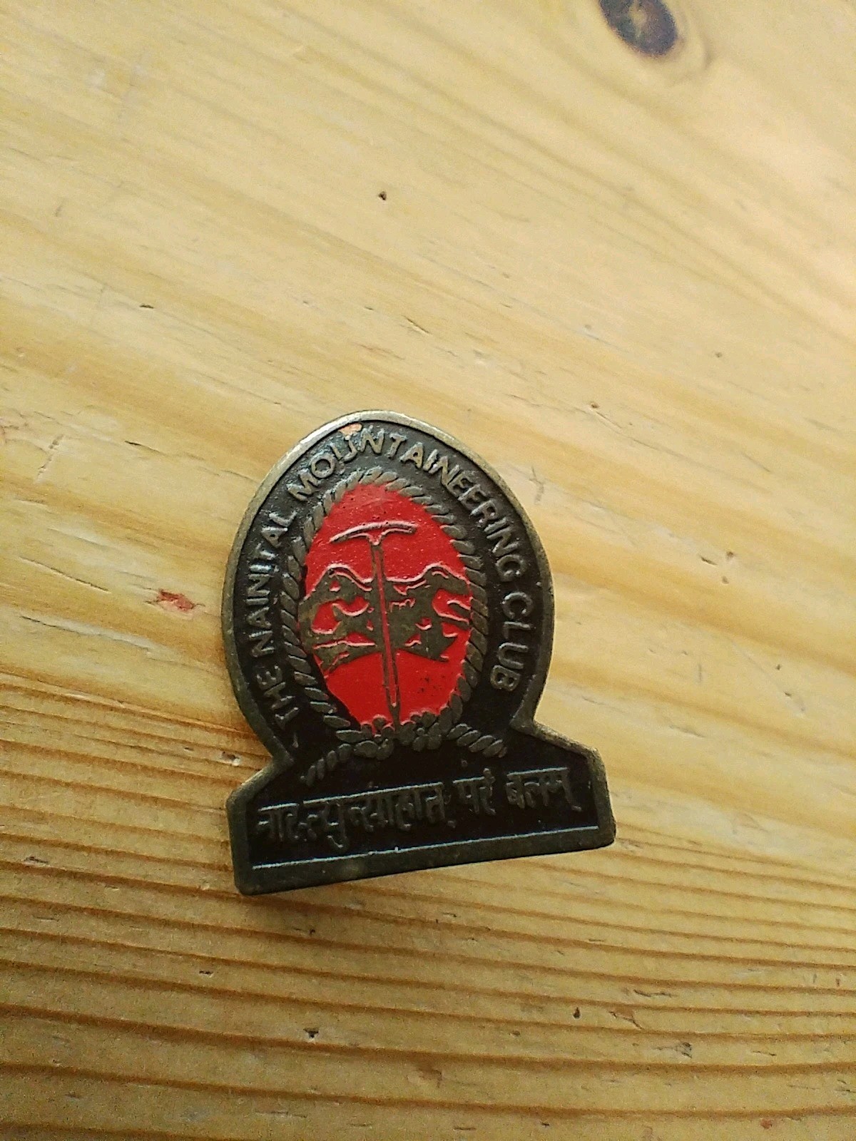 V Rare Nainital Mountaineering Club India Badge (A21)