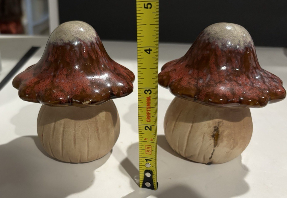 Drip glazed Ceramic Mushroom Figurine – set of two