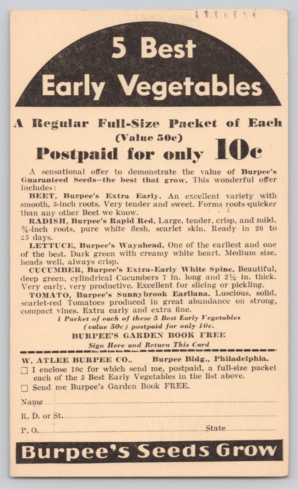 1934 Burpee Seeds Advertising Postal Card 5 Best Early Vegetables Promo Offer