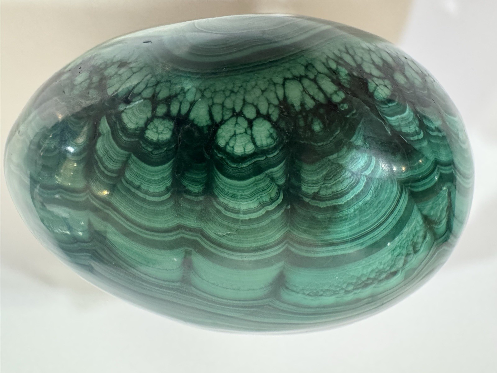 Gorgeous Large Polished Malachite Egg Vivid Banding 2 Lbs 11 Oz. 4.25” X 3”