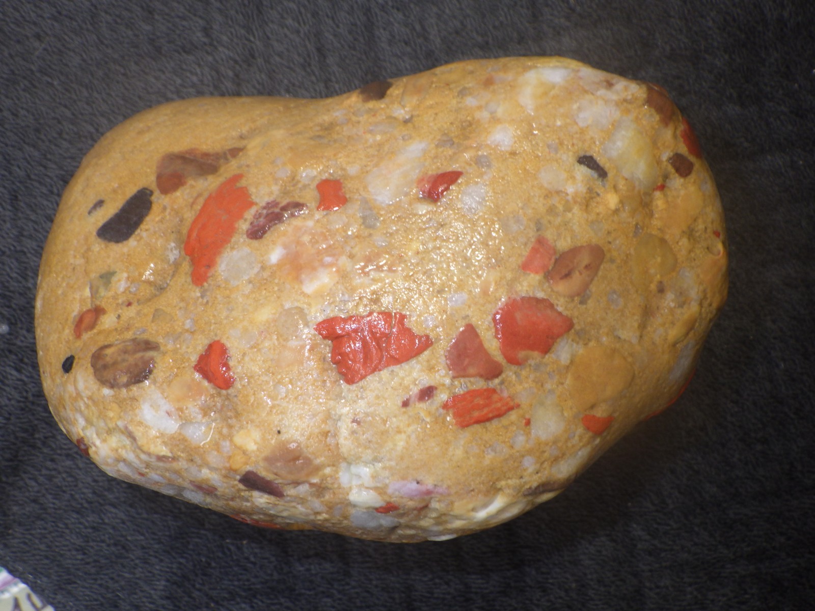 Pudding Stone 4 lbs 14.8 oz
