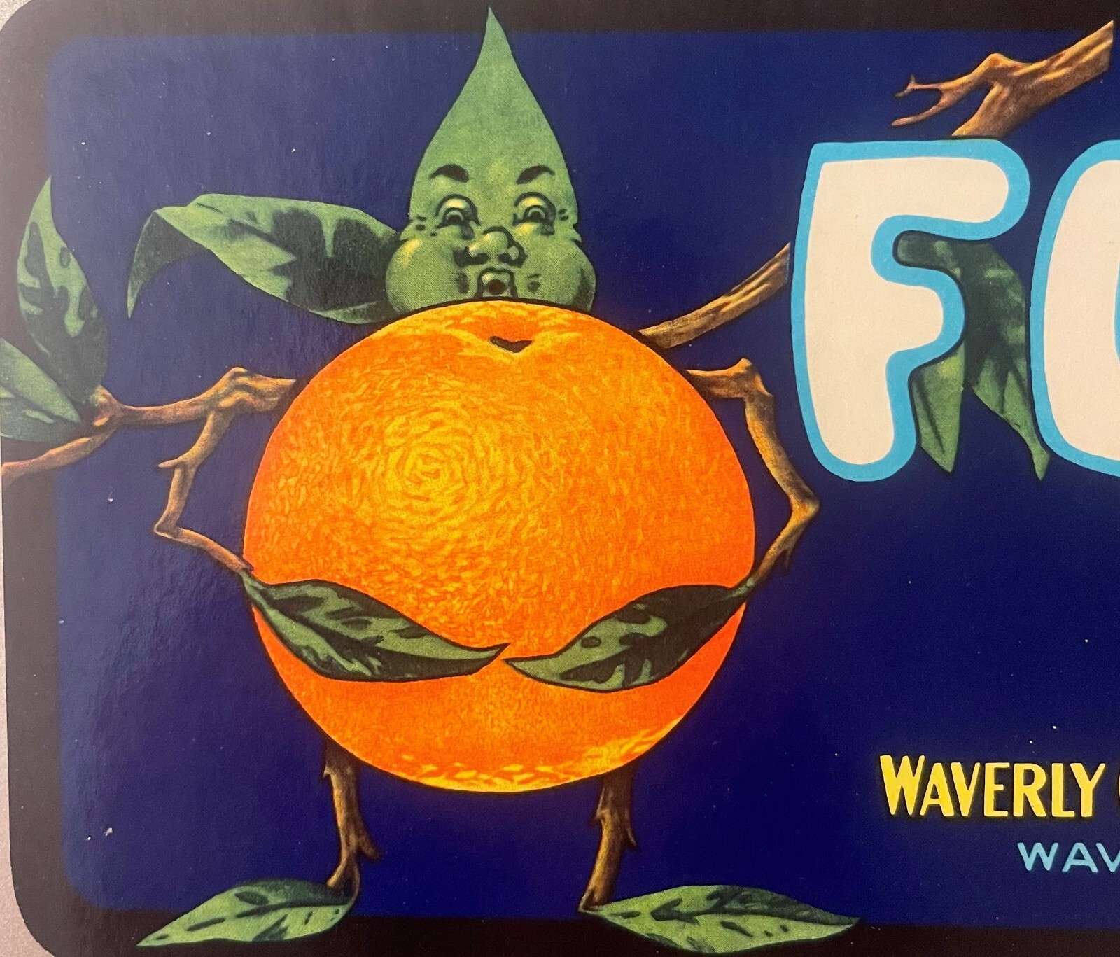 Antique Vintage 1940s Full Crate Label, Waverly, FL, Stick Leaf Man!