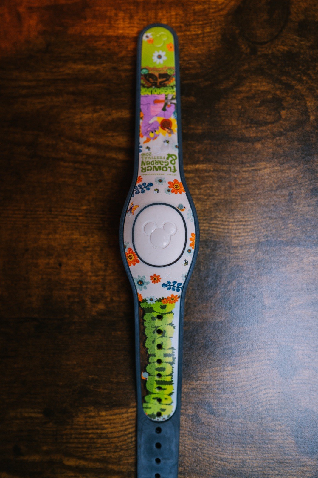 Disney Flower & Garden Festival Epcot MagicBand 2018 Limited Edition 2000 Rare