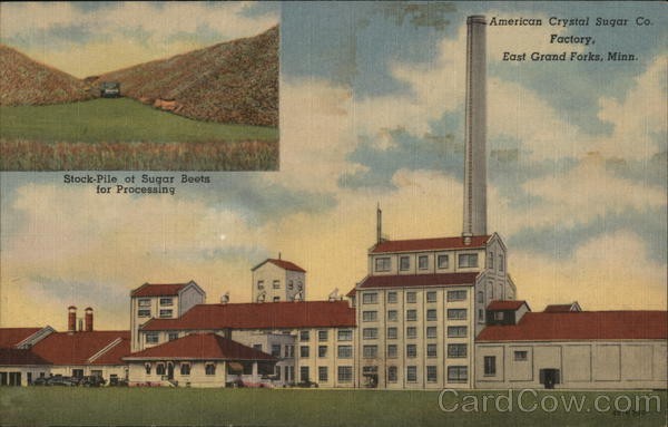 East Grand Forks, Minnesota MN American Crystal Sugar Co. Factory Linen Postcard
