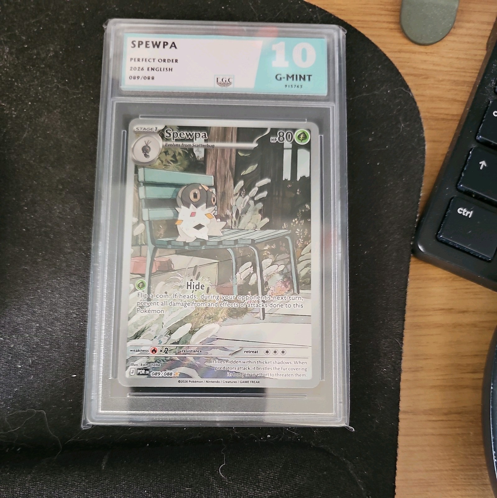 Spewpa 89/88 ME03: Perfect Order Pokemon TCG Illustration Rare Graded 10