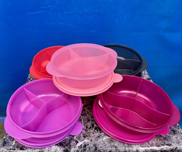TUPPERWARE NEW MICROWAVE LUNCH BOWL DIVIDED DISH VENTED-4 CUP