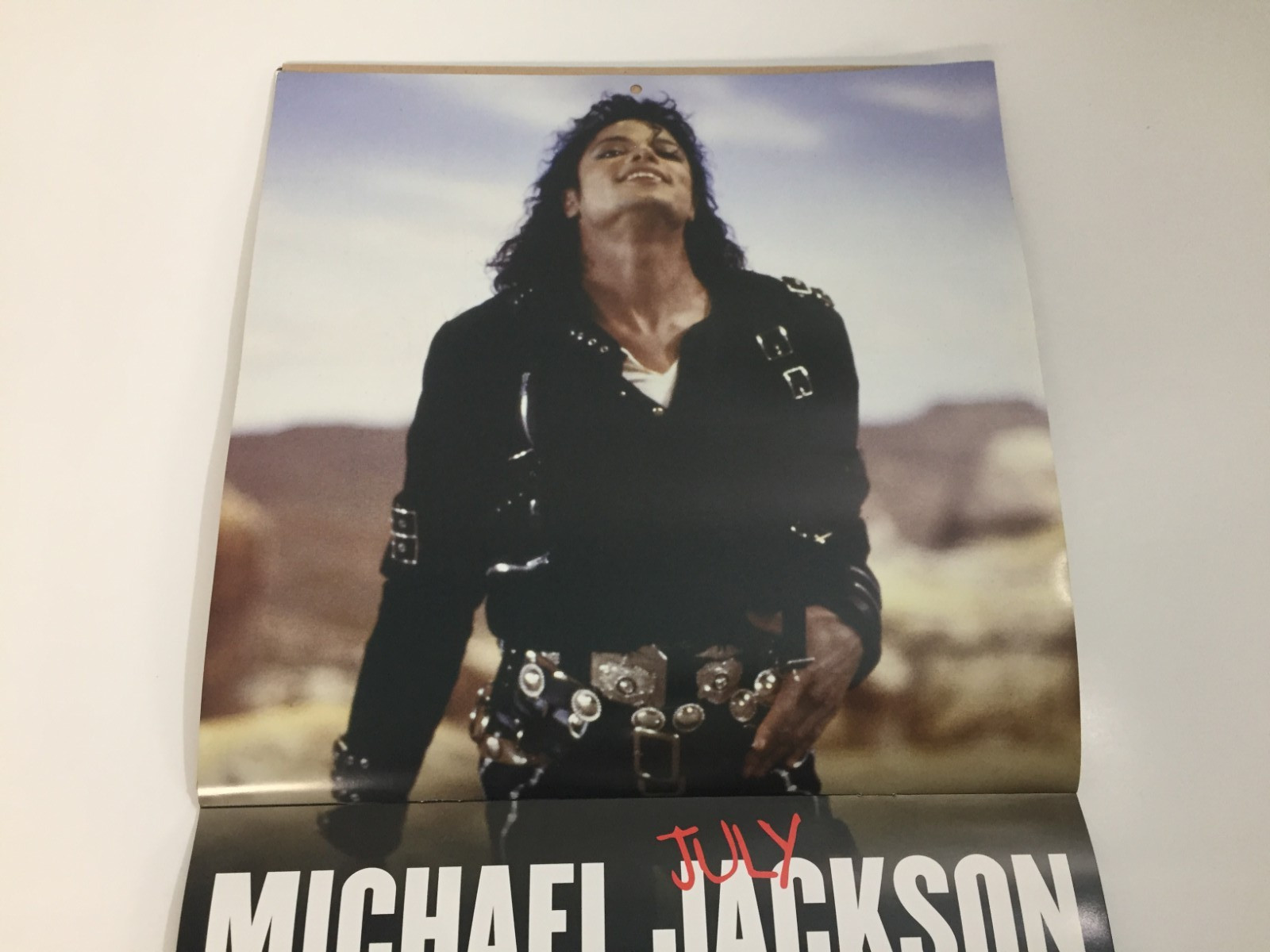 Michael Jackson 2012 12 X 12 Square Wall by Brown Trout Staff “2012 Calendar”