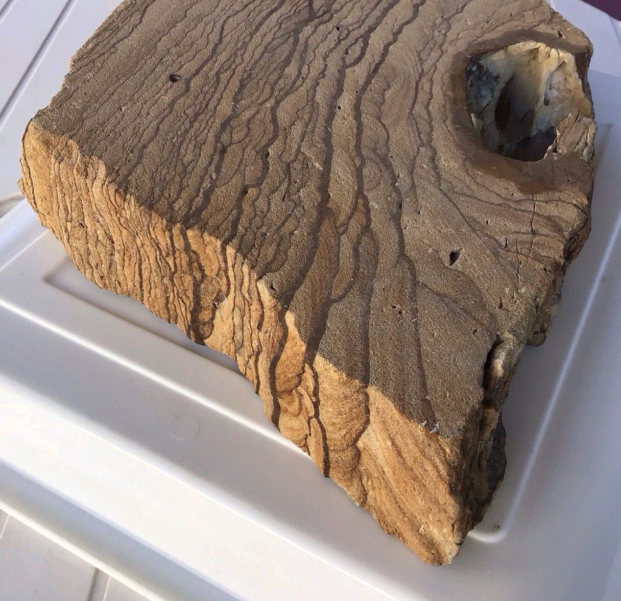 Large Banded Sandstone Slab 14 1/2″ diagonal, 2.5″ thick, Weighs 16.24 pounds
