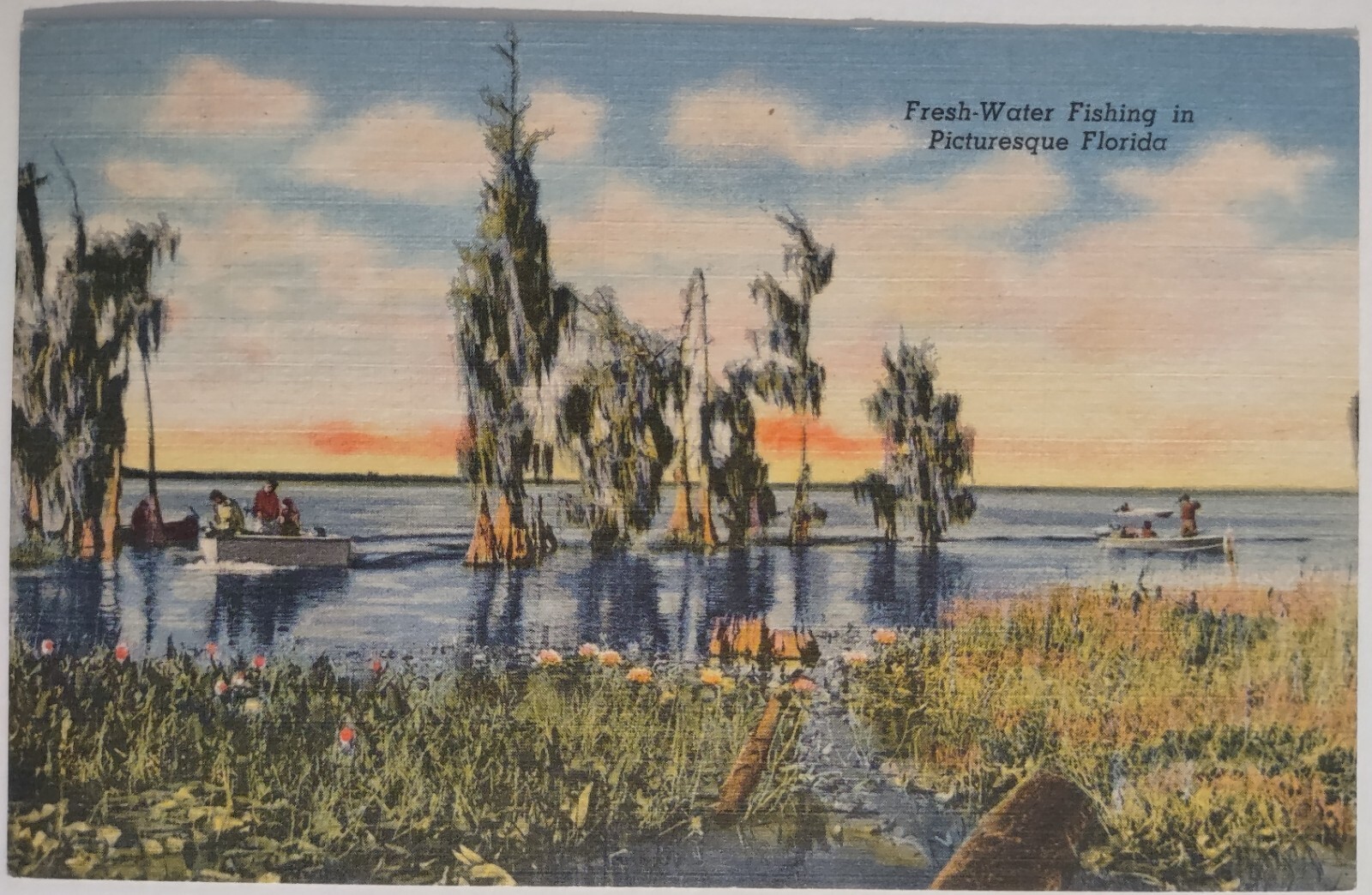 Vintage Freshwater Fishing in Picturesque Florida Linen Postcard 1956 Boats