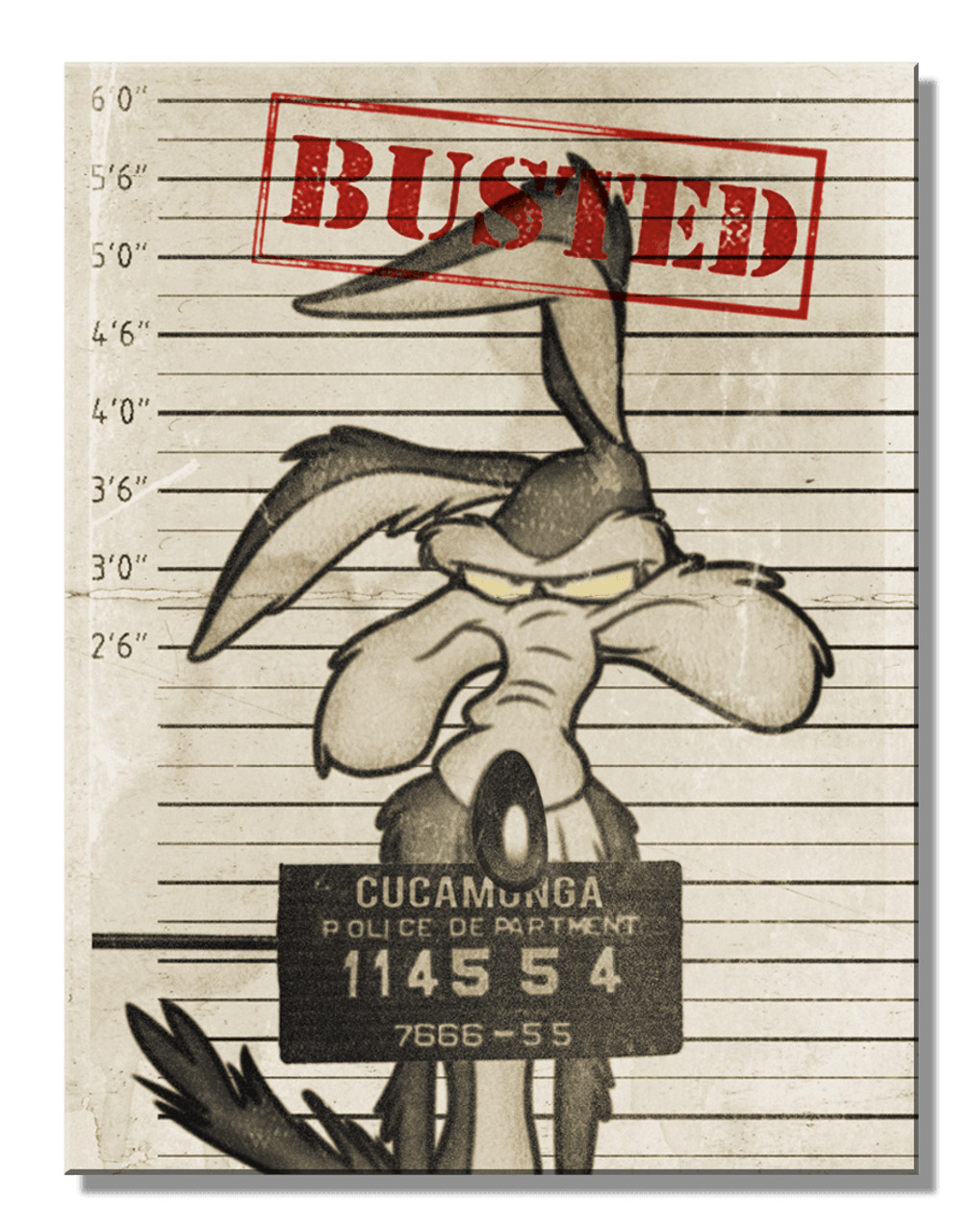 Looney Tunes Busted Wile E Coyote sign Aluminum 7.5″ x 11.5″ inch Made in USA