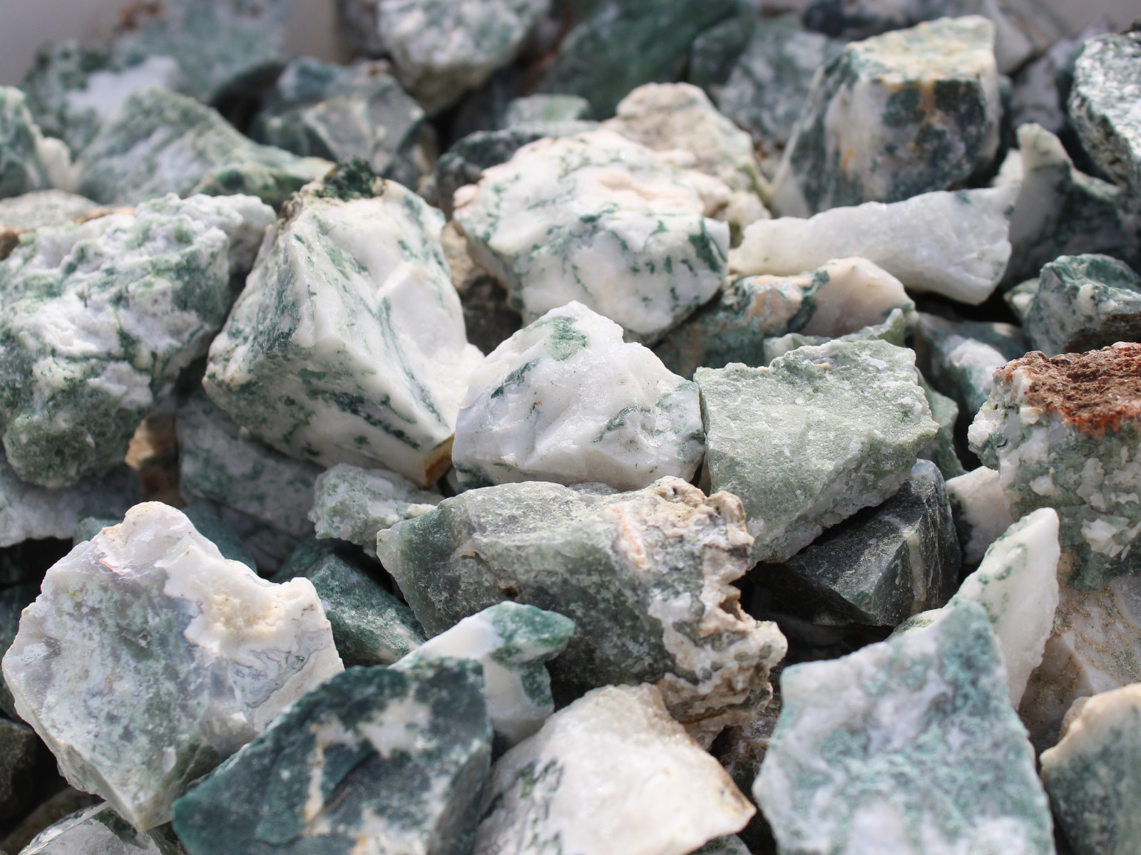 Tree Agate – Rough Rocks for Tumbling – Bulk Wholesale 1LB options