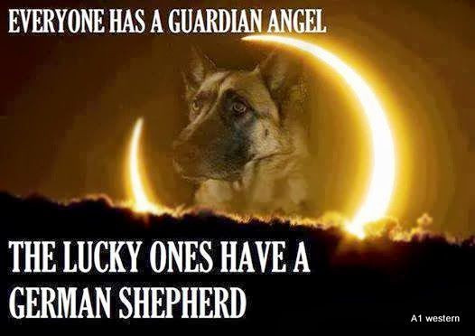 German Shepard refrigerator magnet 3 1/2″ x 4 1/2″ Made in the USA