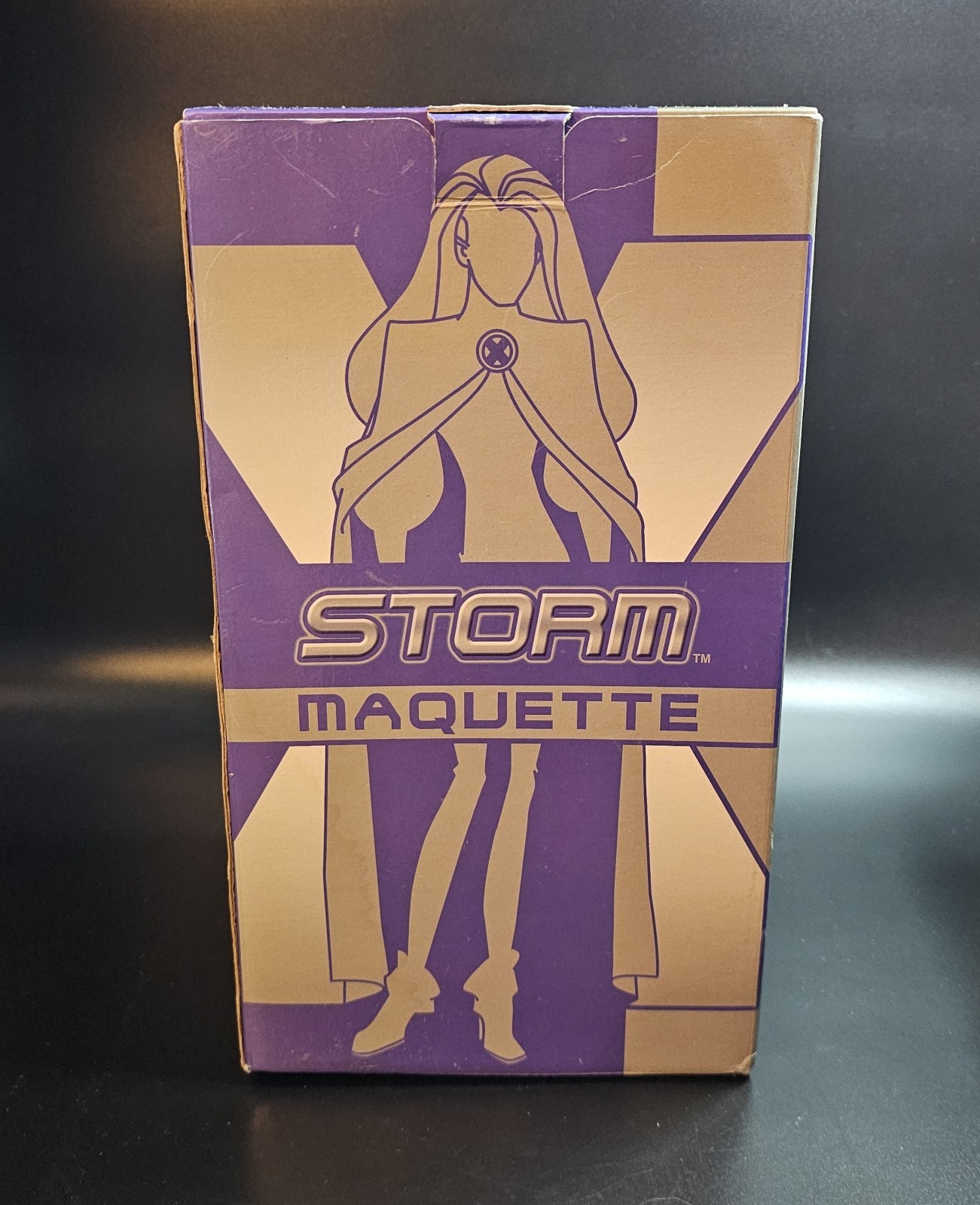 Hard Hero Marvel X-Men Evolution 10.75″ Storm Maquette Statue 2002 MIB Limited