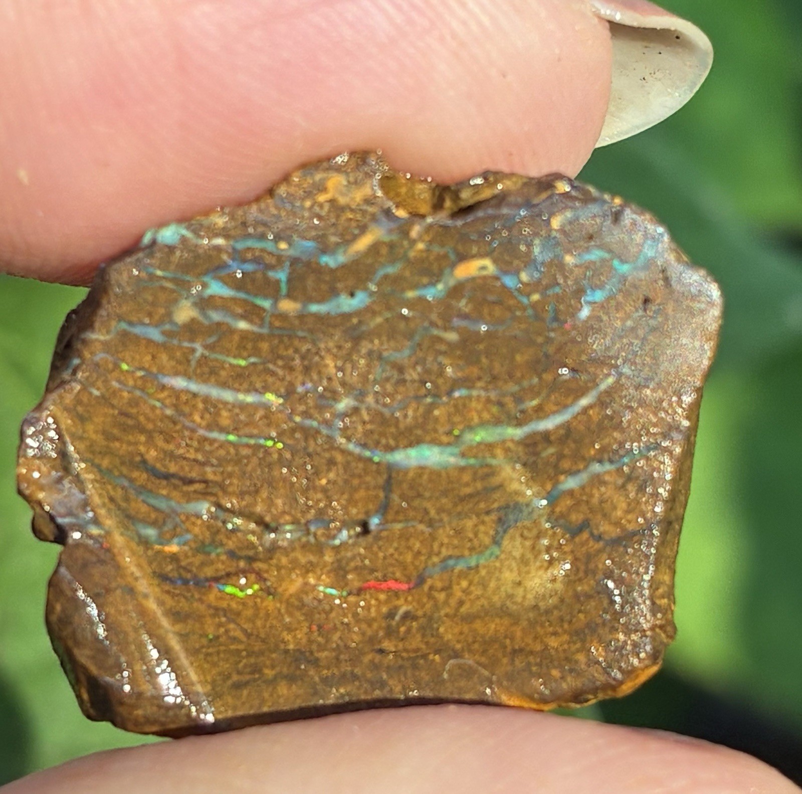 24ct Pretty Australian Boulder Opal Rough Loose Double Sided Specimen A30