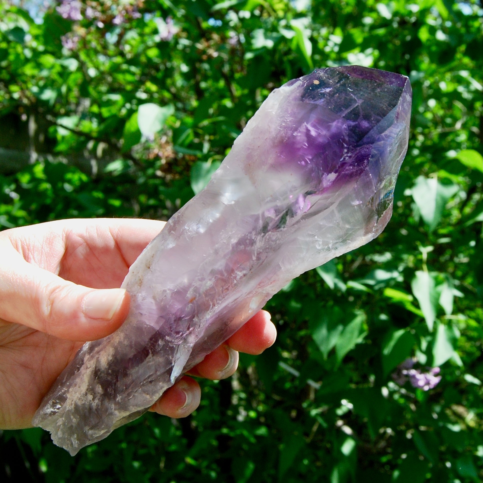 7.75in XL Raw Dragon’s Tooth Amethyst Point, Brazil