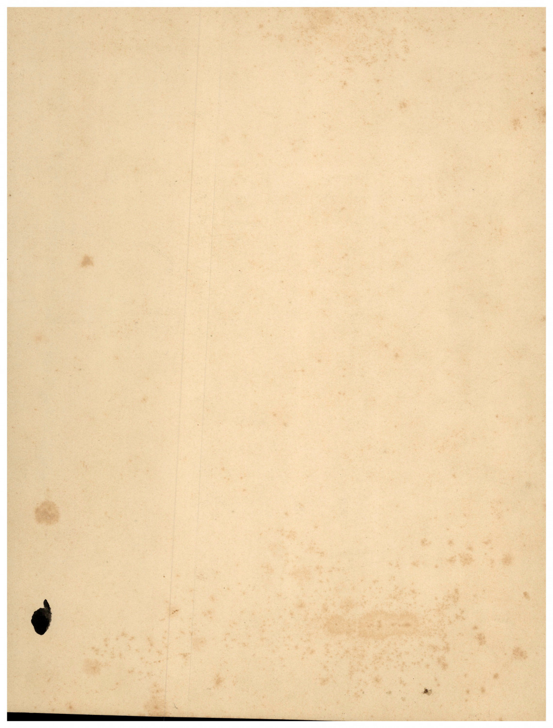 Salt paper, sculpture Salt paper 31×23.5 circa 1850 salt paper