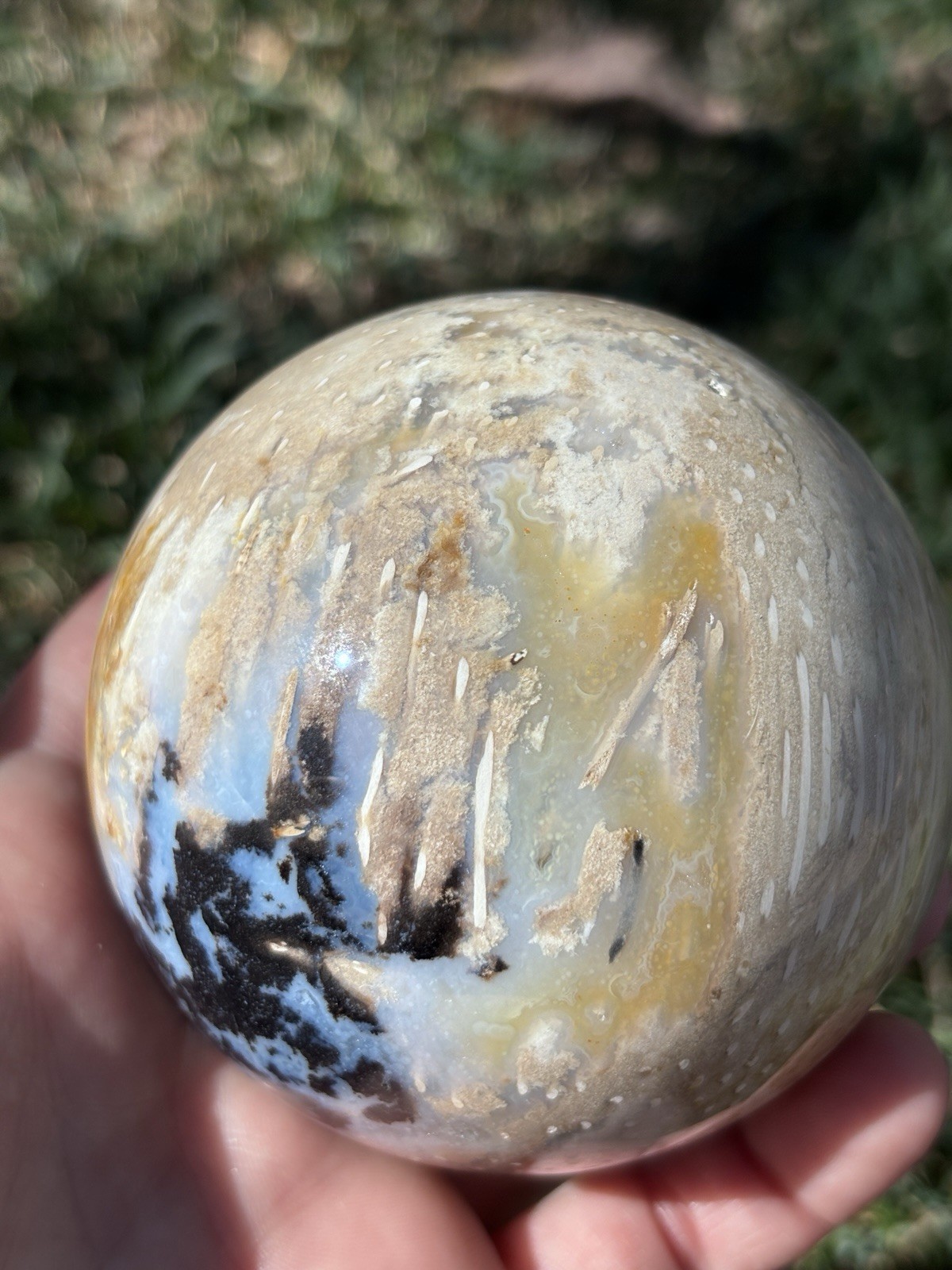 Petrified Palm Root Crystal