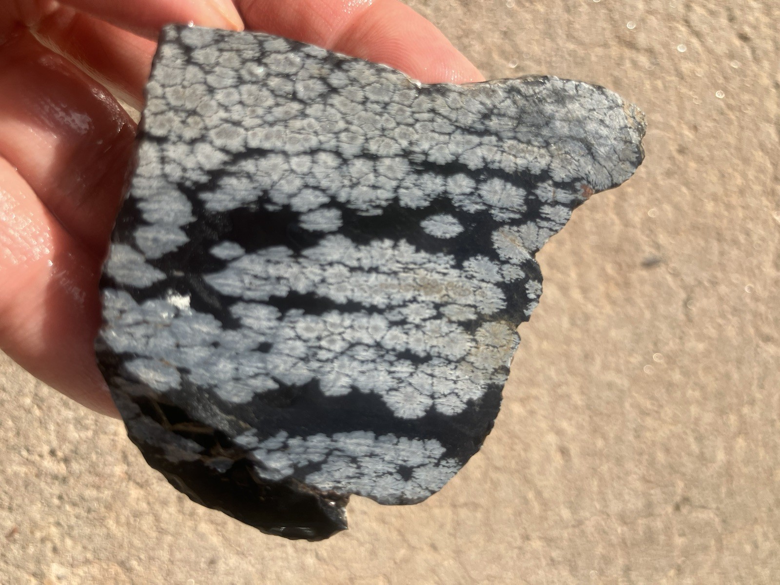 Snowflake Obsidian Slab