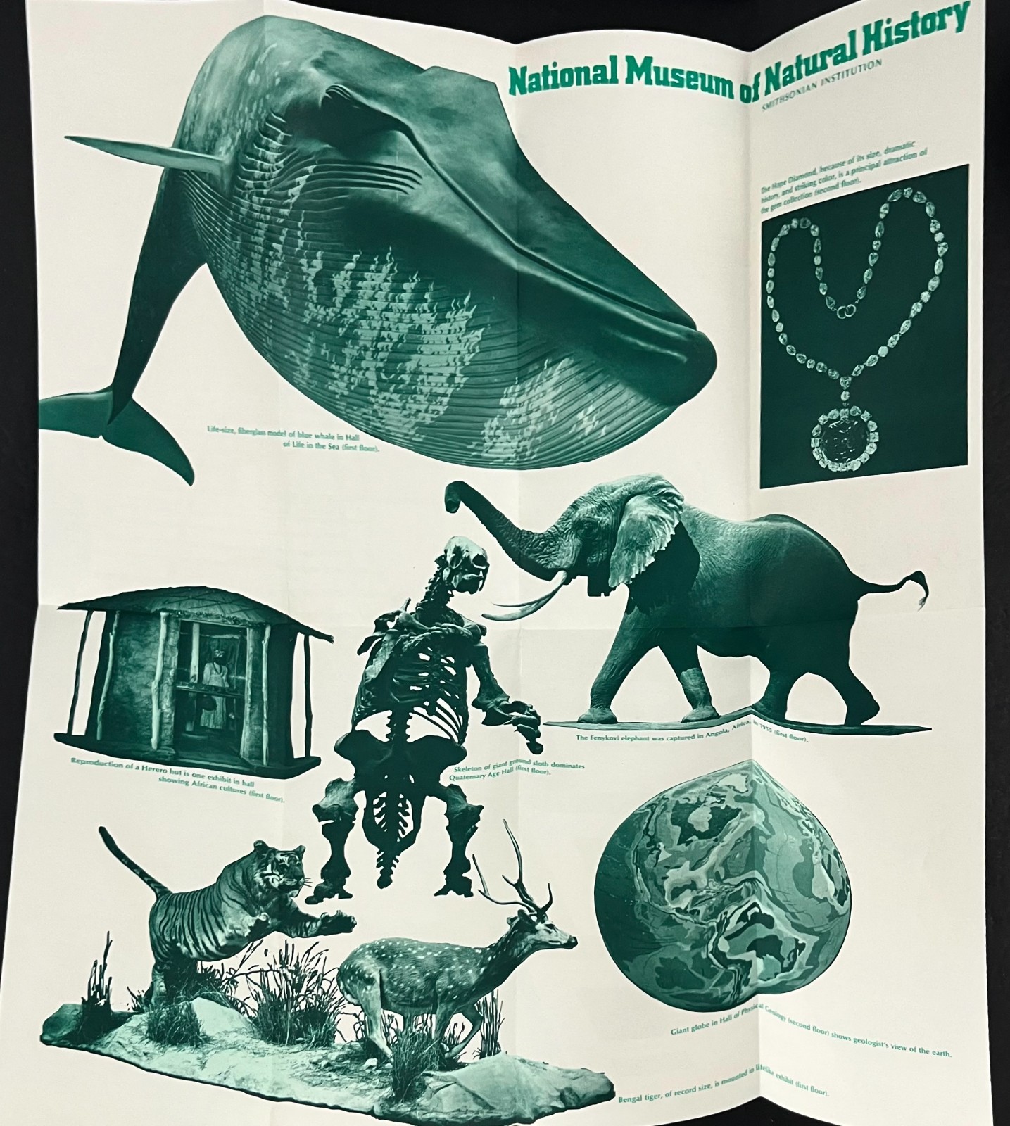1970s National Natural History Museum Smithsonian DC Vintage Travel Brochure